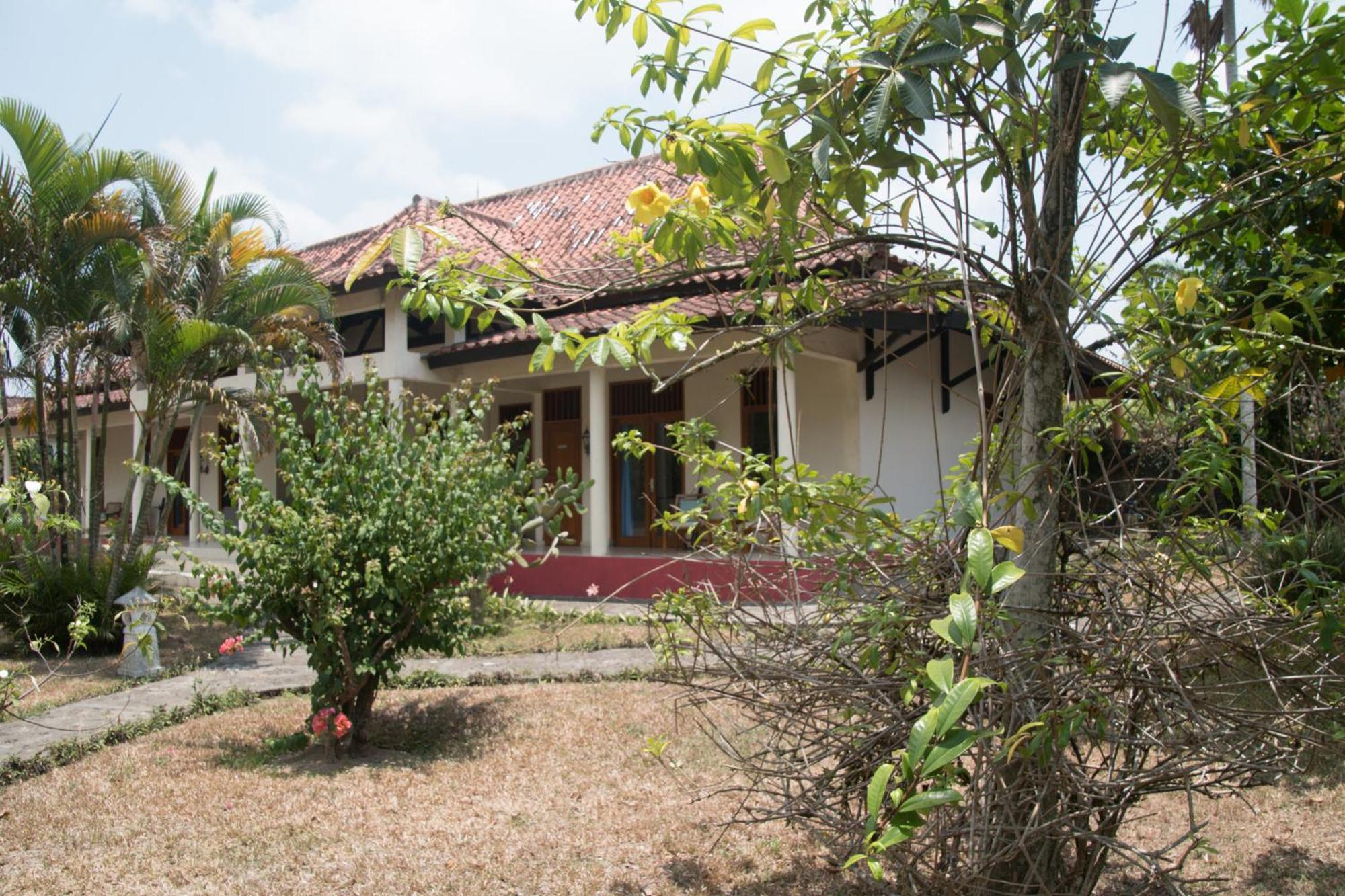 Guesthouse Rumah Senang Kalibaru Eksteriør billede