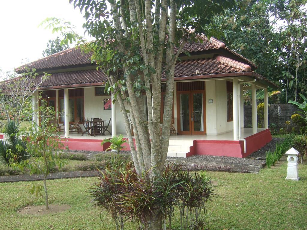 Guesthouse Rumah Senang Kalibaru Eksteriør billede